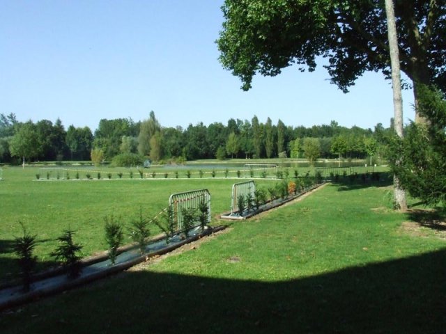 Parc du château l'été