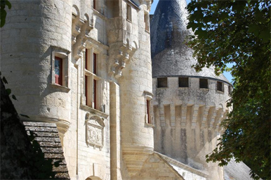 Vue du Château de Javarzay