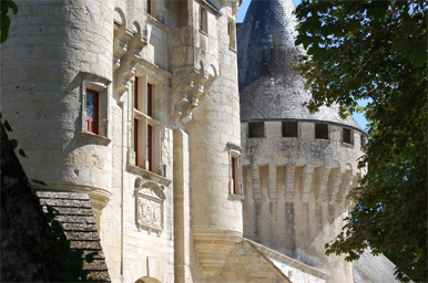 Vue du Château de Javarzay